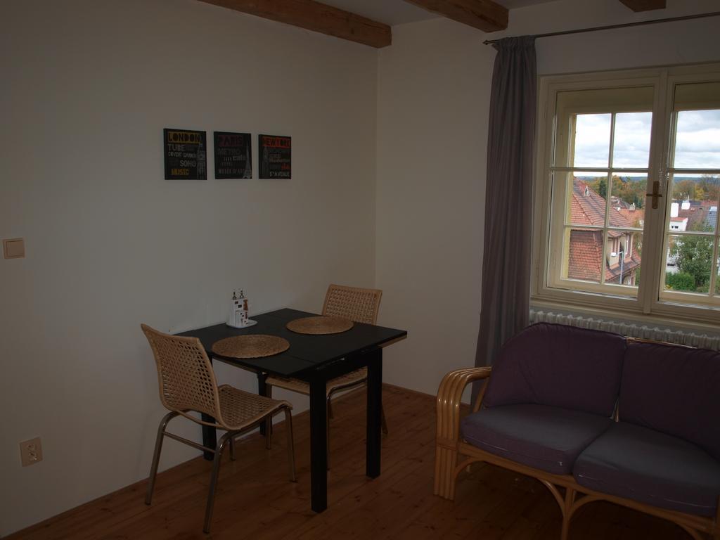 Apartment Dalimilka *